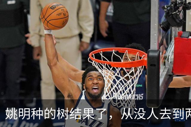 姚明种的树结果了，从没人去到两位数留洋，年轻人治好男篮老毛病